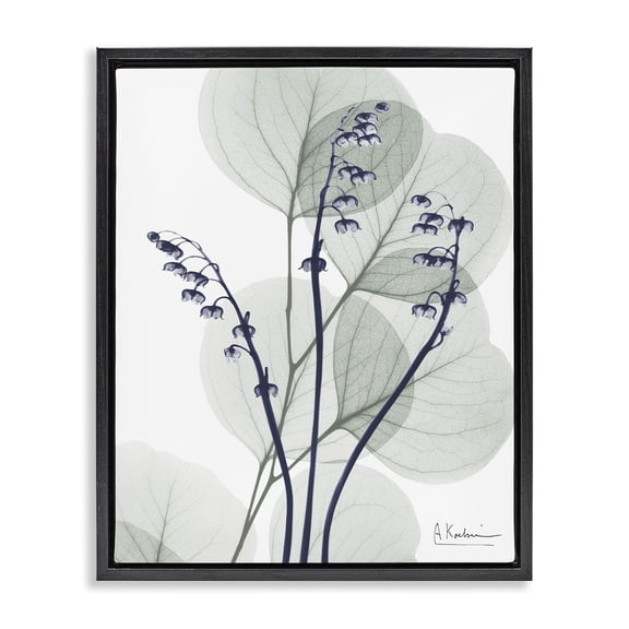 Stupell Industries Contemporary Serene Modern Eucalyptus Black Floating Frame Canvas Art, 17 x 21, by Albert Koetsier