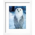 thumbnail image 2 of Snowy Owl Standing in Snow, Animals Framed Art Print Wall Art Sold by Art.Com, 2 of 5