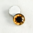 thumbnail image 4 of Brown Teddy Bear Glass Eyes, 4 of 7
