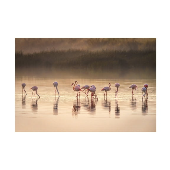 Canvas Wall Art - Jeffrey C. Sink 'Photographic Ode To Monet' Wall Art for Living Room, Bedroom, or Office Décor by Trademark Fine Art - 19 x 12 Inches