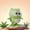 10Pack-QA175, variant on 10 Pack Jumping Owl Wind-up Wind-up Running And Moving Toys For