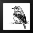 thumbnail image 2 of Pinto, Patricia 15x15 Black Modern Framed Museum Art Print Titled - Black And White Baby Bird II, 2 of 5