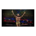 thumbnail image 3 of UFC 4 Xbox One Físico, 3 of 4