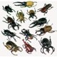 thumbnail image 1 of Errores (docena) U.S. Toy 049392016039, 1 of 1