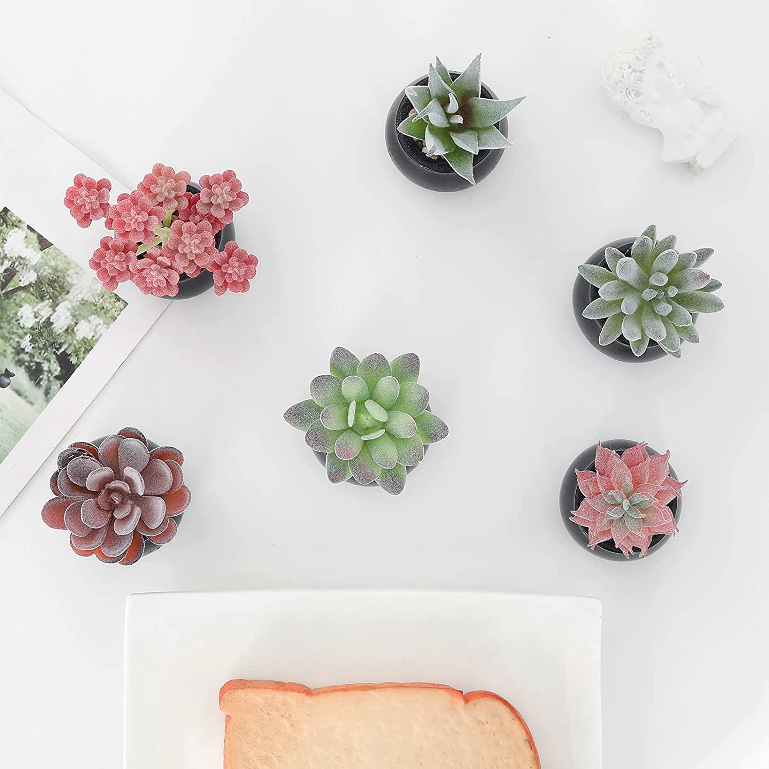 Mini Fake Succulent Plants Artificial Plastic Succulents Potted Faux Assorted Plants for Home Office Table Decoration, Set of 6 (White Plastic Pots)