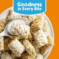 thumbnail image 4 of Kellogg's Frosted Mini-Wheats Breakfast Cereal, Kids Cereal, Family Breakfast, Original, 16oz Box (1 Box), 4 of 6