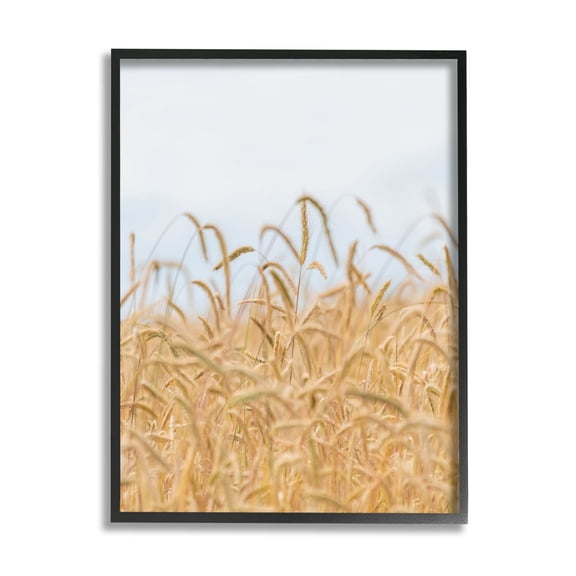 Rural Wheat Field Crops Landscape Photograph Black Framed Art Print Wall Art