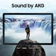 thumbnail image 6 of Samsung Galaxy Tab S6 Lite 10.4'' Touchscreen (2000x1200) WiFi Tablet, 4GB RAM, 64GB SSD, Android 10 w/S Pen, Cover & Tigology 64GB Memory Card, 6 of 6