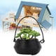 thumbnail image 4 of Accesorio de jardín de muñecas, 1:12 Miniatura Bonsai Jardín Casa de Muñecas Planta Decoración de Casa de Muñecas Integración Perfecta, 4 of 8