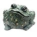 thumbnail image 3 of Toad Hollow HomeStyles Jumbo Toad Natural Green, 3 of 5