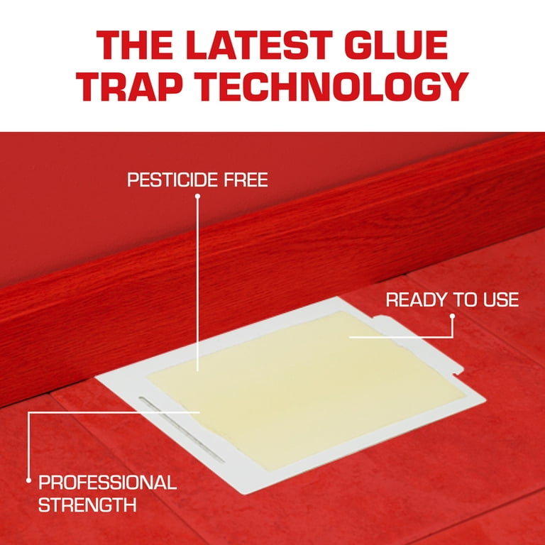Motomco® Tomcat Glue Traps (4-pack)
