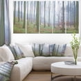 thumbnail image 1 of Autumn Tree Trunks Panorama - Oversized Forest Canvas Artwork, 1 of 3