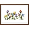thumbnail image 2 of Tulipscape Portrait, Framed Art Print Wall Art by Albert Koetsier Sold by Art.Com, 2 of 6