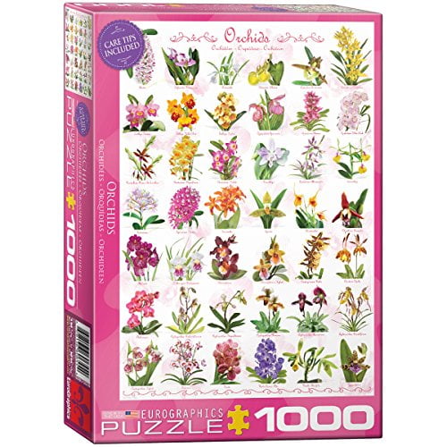 EuroGraphics Orchidées Puzzle (1000 Pièces)
