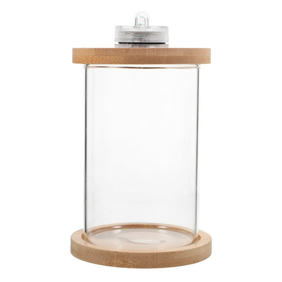 SOPOTUTU Portable Glass Terrarium with LED Light, 1 Piece Decorative Miniature Plant Display