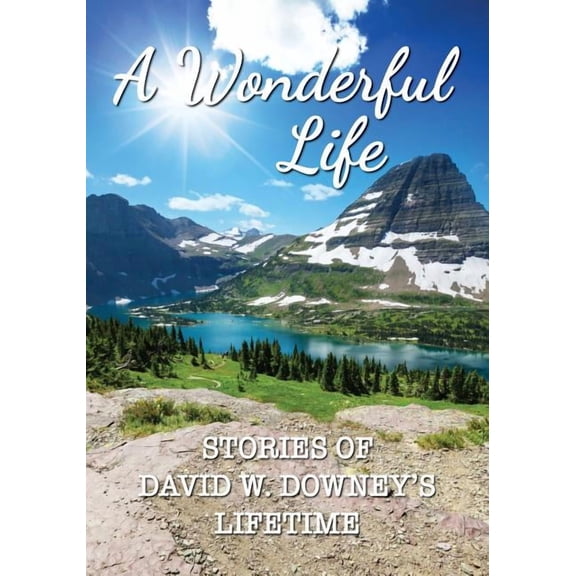 A Wonderful Life: Stories of David W. Downey's Lifetime, (Paperback)