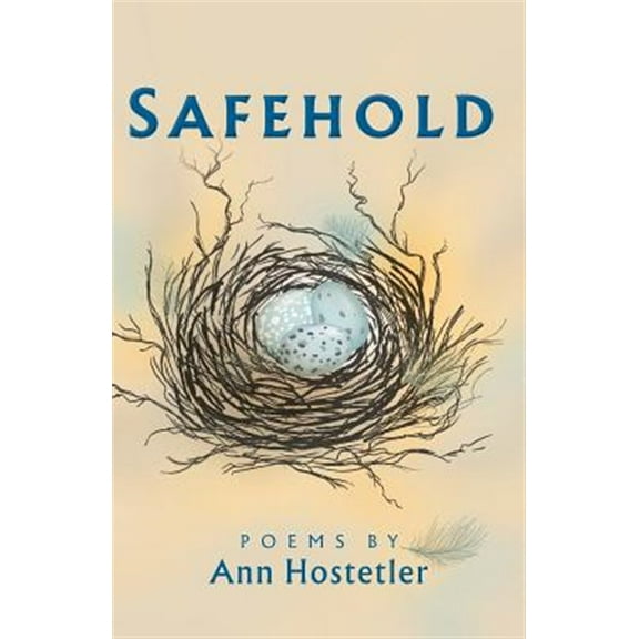 Dreamseeker Poetry: Safehold: Poems (Paperback)(Large Print)