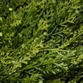 thumbnail image 3 of National Tree Company 60in Spiral Plant Artificial Cedar Tree w/ Potted Urn, 3 of 4