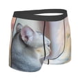 thumbnail image 3 of Disketp The Cat Looks In The Mirror Men'S Boxer Briefs,Soft And Breathable Cotton Underwear With Comfortflex Waistband, 3 of 9