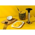 thumbnail image 2 of Vide-ananas, 2 of 4