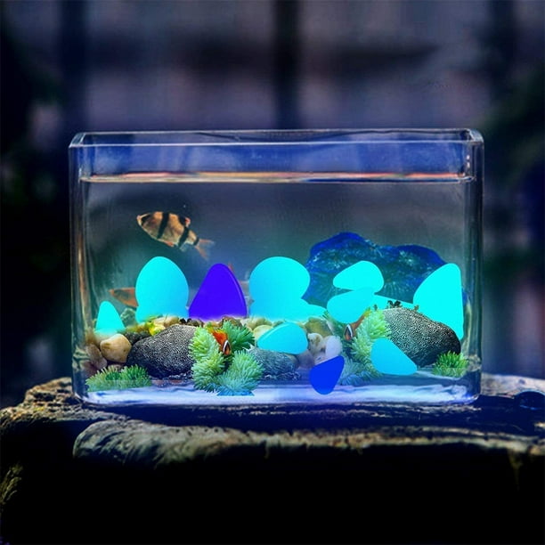 Acheter La lueur sombre dans les galets lumineux 50 pièces pour allées de  jardin en pierre d'aquarium