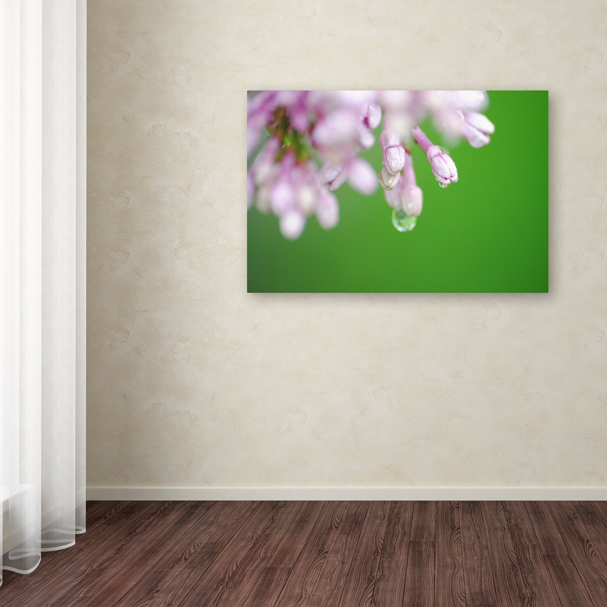 Trademark Fine Art "Pure" Canvas Art by Monica Mize