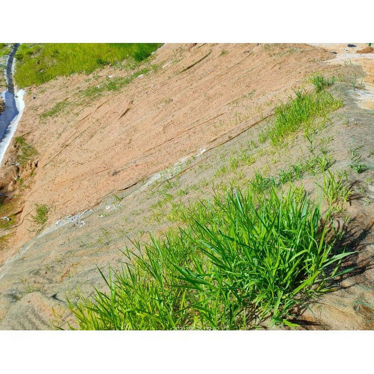 Farm Plastic Supply - Straw Erosion Control Blanket - 3' x 112.5' - Straw Garden and Landscape Cover, Erosion Control Blanket, Straw Blanket, Erosion Control, Mulch, Slope Stabilizer