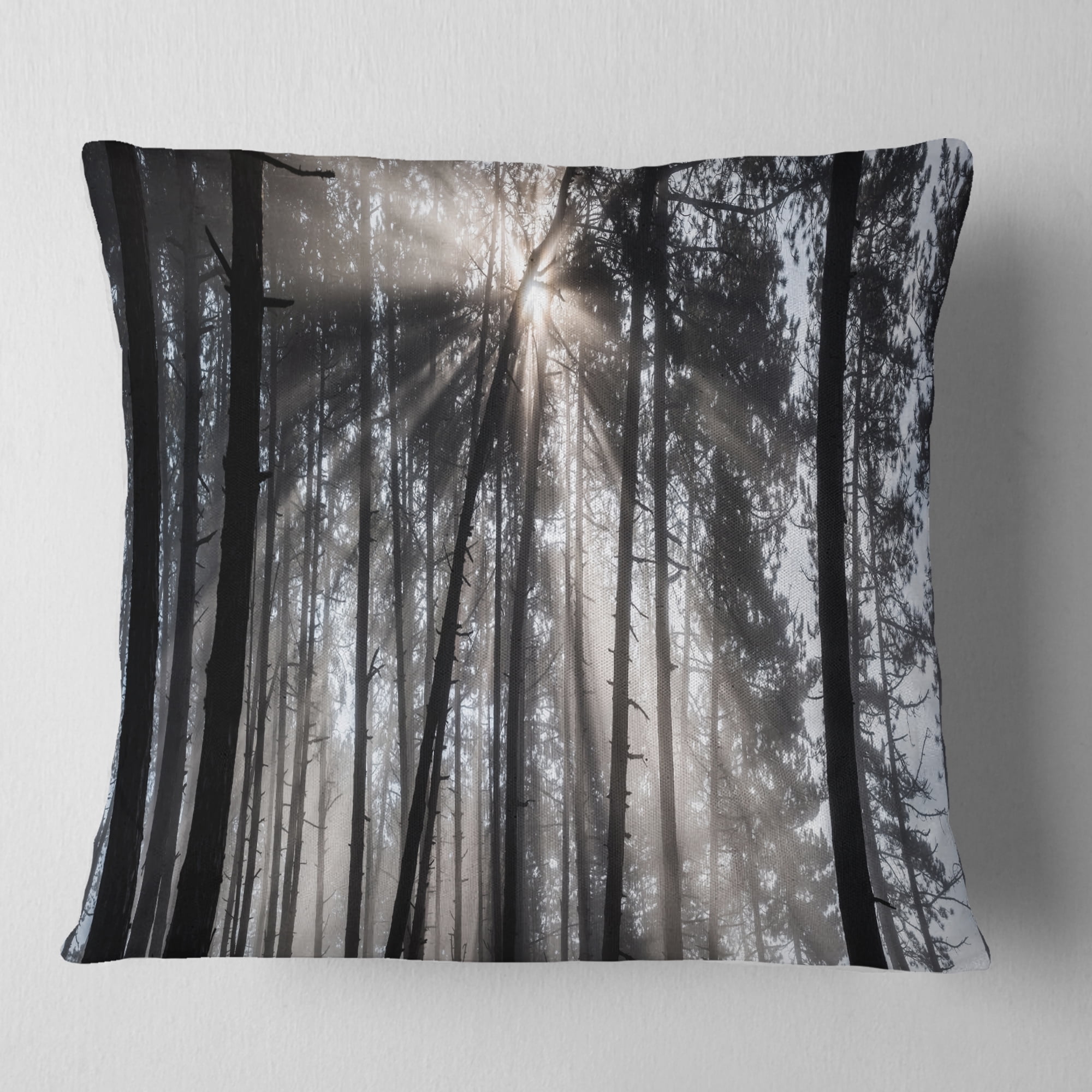 Designart Sunbeams through Black White Forest - Forest Throw Pillow - 16x16