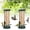 2, variant on Metal Bird Feeder - 6 Port Tube Feeder for Outdoors, Heavy Duty Squirrel Proof with Metal Lid, Easy Fill & Clean, Weather Resistant, 13 Inch