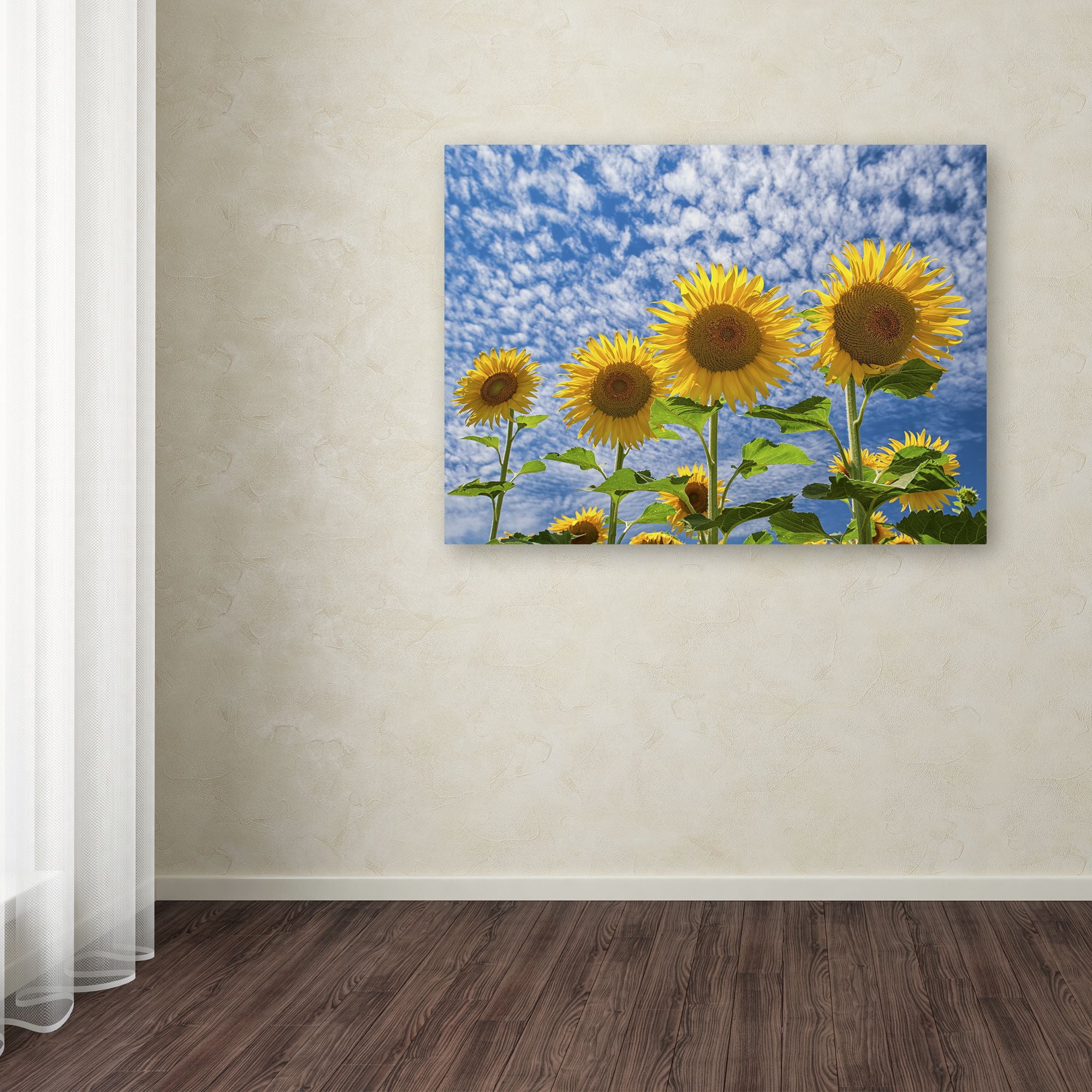 Trademark Fine Art "The Four Sisters" Canvas Art by Michael Blanchette Photography