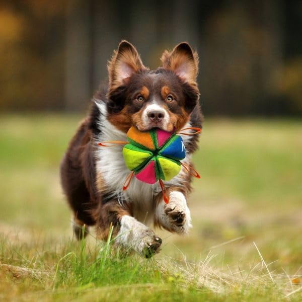 Falnatco Wedge Ball Dog Toy for Tug of War and Fetch Interactive Dog Toy with Gripping Straps Durable Mesh Construction for Medium and Large Dogs Solo and Interactive Play Training Exercise Toy