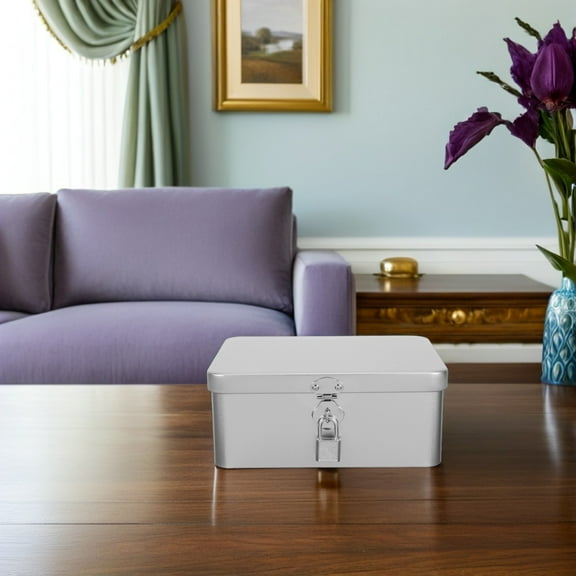 OFFIGAM Metal Storage Box with Hinged Lid, Tinplate Organizer for Small Accessories and Office Supplies