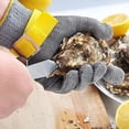 thumbnail image 4 of HAHDAXIA Niveau 9 Gant Résistant aux Coupures de Qualité Alimentaire, Gant en Maille d'Acier Inoxydable en Métal Couteau Gant de Coupe pour Boucher Découpe de Viande Écaillement d'Huître Mandoline de Cuisine Chef Tranchage Filet de Poisson (Small, 4 of 7