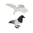 thumbnail image 1 of 2 Piezas de Pájaro de Paloma con Plumas Artificiales Decoración de Estatuilla Pájaro a + B de Pie Sunnimix Artificial Pigeon Decoy, 1 of 8