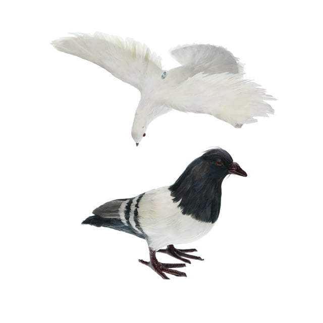 2 Piezas de Pájaro de Paloma con Plumas Artificiales Decoración de Estatuilla Pájaro a + B de Pie Sunnimix Artificial Pigeon Decoy