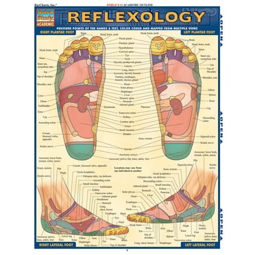 Reflexology (Other)