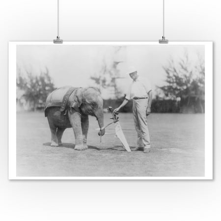Elephant Caddie on Golf Course Photograph (9x12 Art Print, Wall Decor Travel (Best Golf Course Photos)