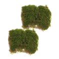 thumbnail image 1 of FELTECHELECTR 2Pcs Plastic Turf Mat Fake Grass Lawn with Realistic Detail for Garden Decor, 1 of 4