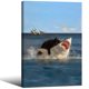 thumbnail image 1 of Póster NLIEOPDA Funny Fat Cat Vs. Lienzo Shark 40x60 cm, 1 of 7