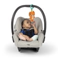 thumbnail image 2 of Colgante Baby Einstein para Carreola, 2 of 6