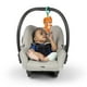 thumbnail image 2 of Colgante Baby Einstein para Carreola, 2 of 6