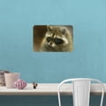 thumbnail image 2 of Raccoon Masked Bandit Home Business Office Sign, 2 of 4