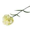 thumbnail image 2 of Antqov Artificial Flowers, Fake Peony Hydrangea Bouquet Plastic Carnations Realistic Fake Flower Arrangements Wedding Home Decor Gifts for Mom, 2 of 2
