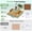 8-in-1 Green, variant on DKMOCO 15''x15'' Heat Press, 8-in-1 Digital Shirt Press Machine Heat Transfer Sublimation with 30oz Tumbler Press, Teflon-Coated Heat Plate, 360° Swing Away for Mugs Hat Plate Cap, Lavender