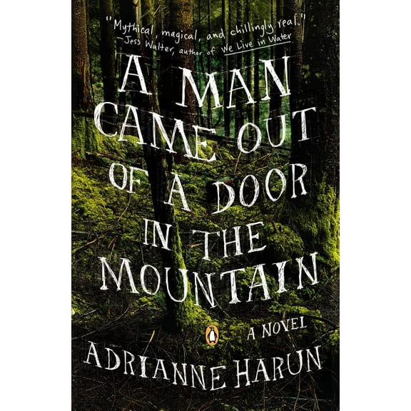 A Man Came Out of a Door in the Mountain (Paperback)