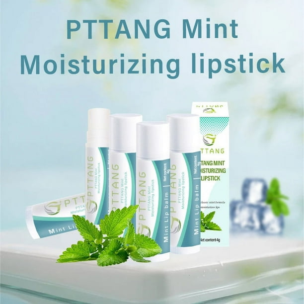 Fiudx Bálsamo Labial de Menta, Barra de Menta Fresca, Bálsamo Hidratación Intensiva, Barra Reconfortante y Calmante, Uso Diario, Protección Durante Todo El Año, Esencial para Todas Las Estaciones, La