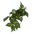 thumbnail image 1 of Simulation Rattan Landscaping, Neatly Cut Edges No Burrs Variety Of Models Hanging Plant False Vine  For Aquariums For Daily For Reptile Boxes For Fish Tanks NFF-86 Variegated Leaf, 1 of 8