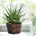 thumbnail image 3 of BESTYASH 1Pc Barrel Planters for Succulents with Brown Wooden Design, 3 of 6