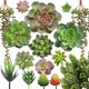 thumbnail image 1 of Planta suculenta artificial, 16 piezas grandes de suculentas artificiales flocadas para decoración floral, 1 of 5