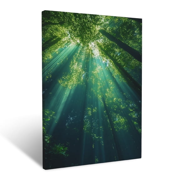 CozyNet Captivating Rainforest Canopy View With Sun Rays Filtering Through Dense Greenery Wall Art Prints With Frame Canvas Perfect for Living Room & Bedroom, Ready to Hang, Wall Decor 12"x16"in
